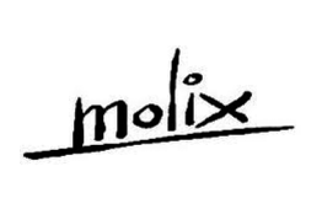 tienda pesca deportiva,artículos Molix,productos Molix,jigs pesca,jig Molix,señuelos Molix,señuelos pesca